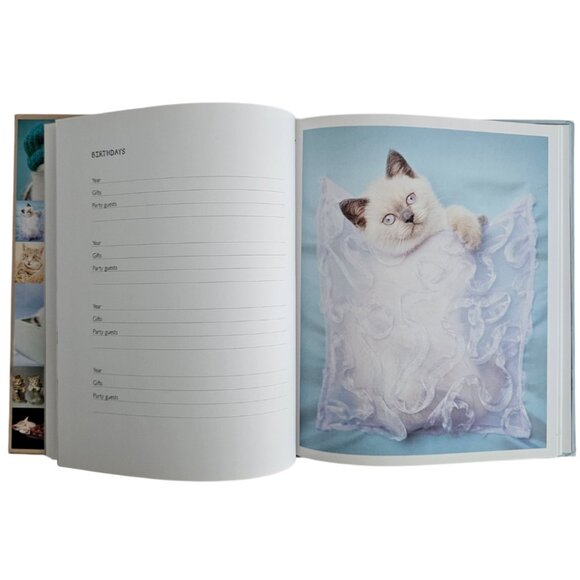 My Cat Record Book By Rachael Hale | Hardcover | NWT | Brown Red - Picture 5 of 16